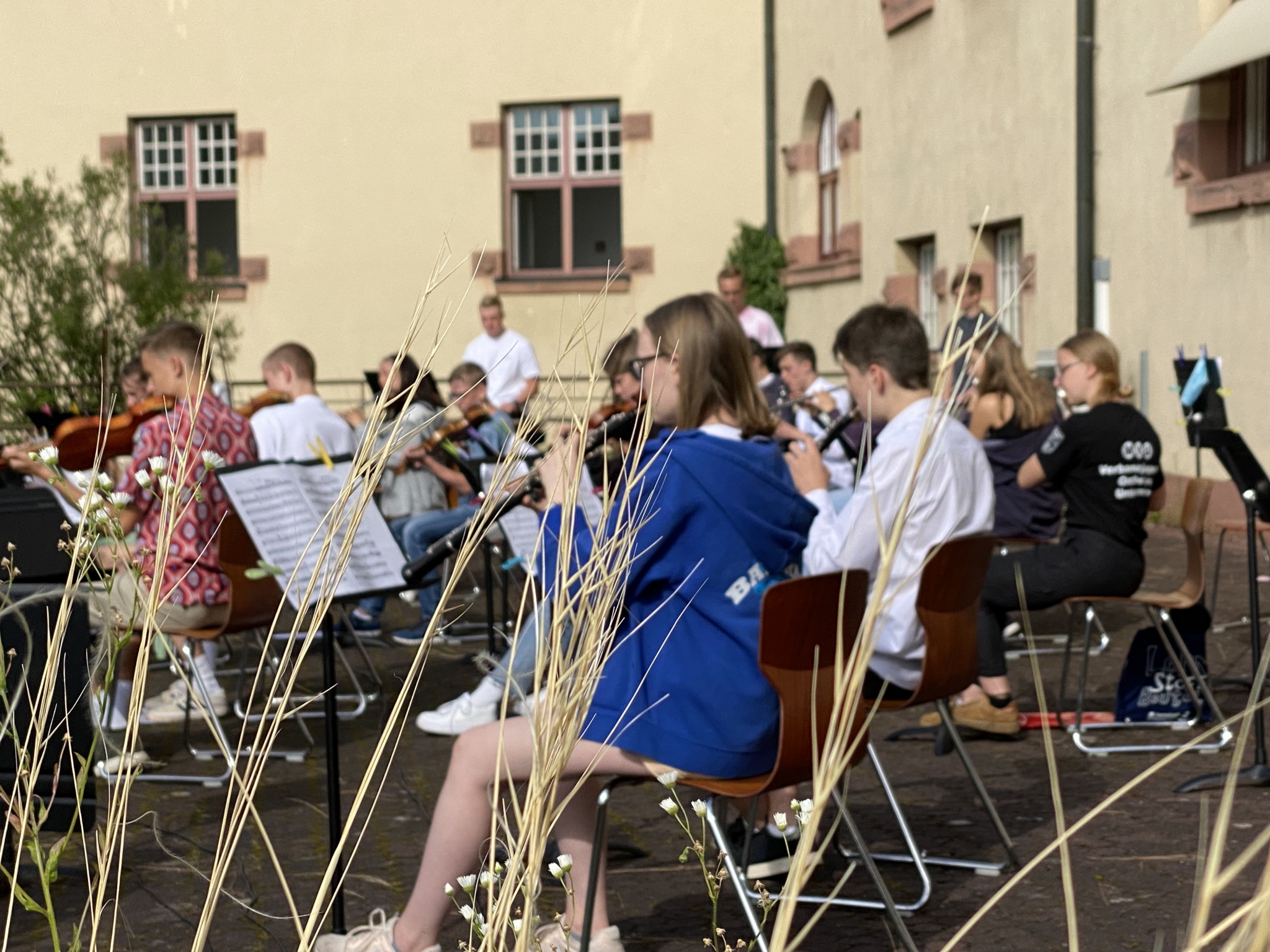 Dalberg Gymnasium Aschaffenburg