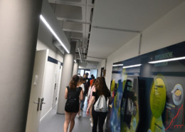 Schüler:innen laufen durch den Gang eines Universitätsgebäudes. Rechts ist eine Pinnwand zu Topologischen Isolationen zu sehen. Links sind Säulen und offene bzw. geschlossene weiße Türen.