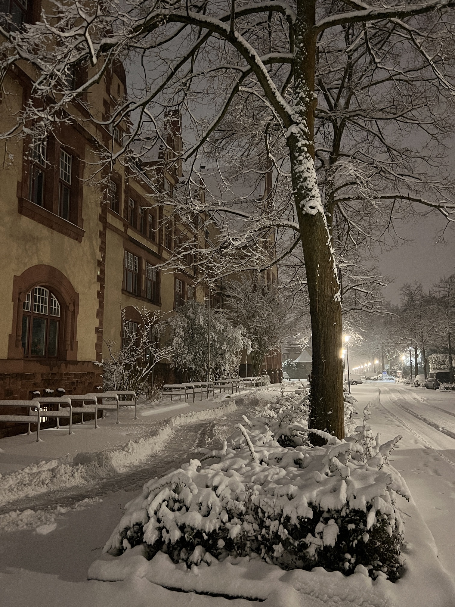 2026 01 26 Schnee 01