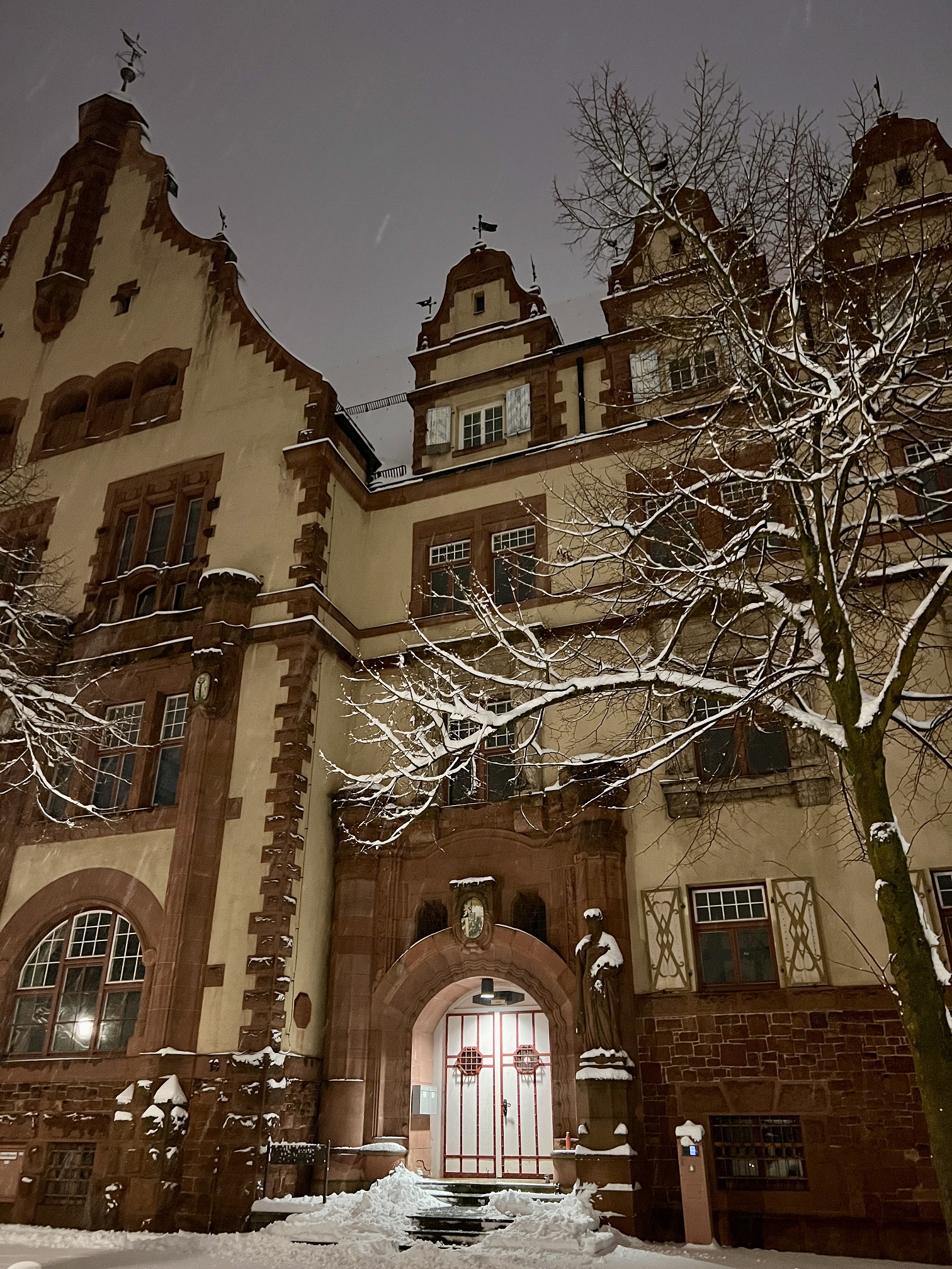 2026 01 26 Schnee 02