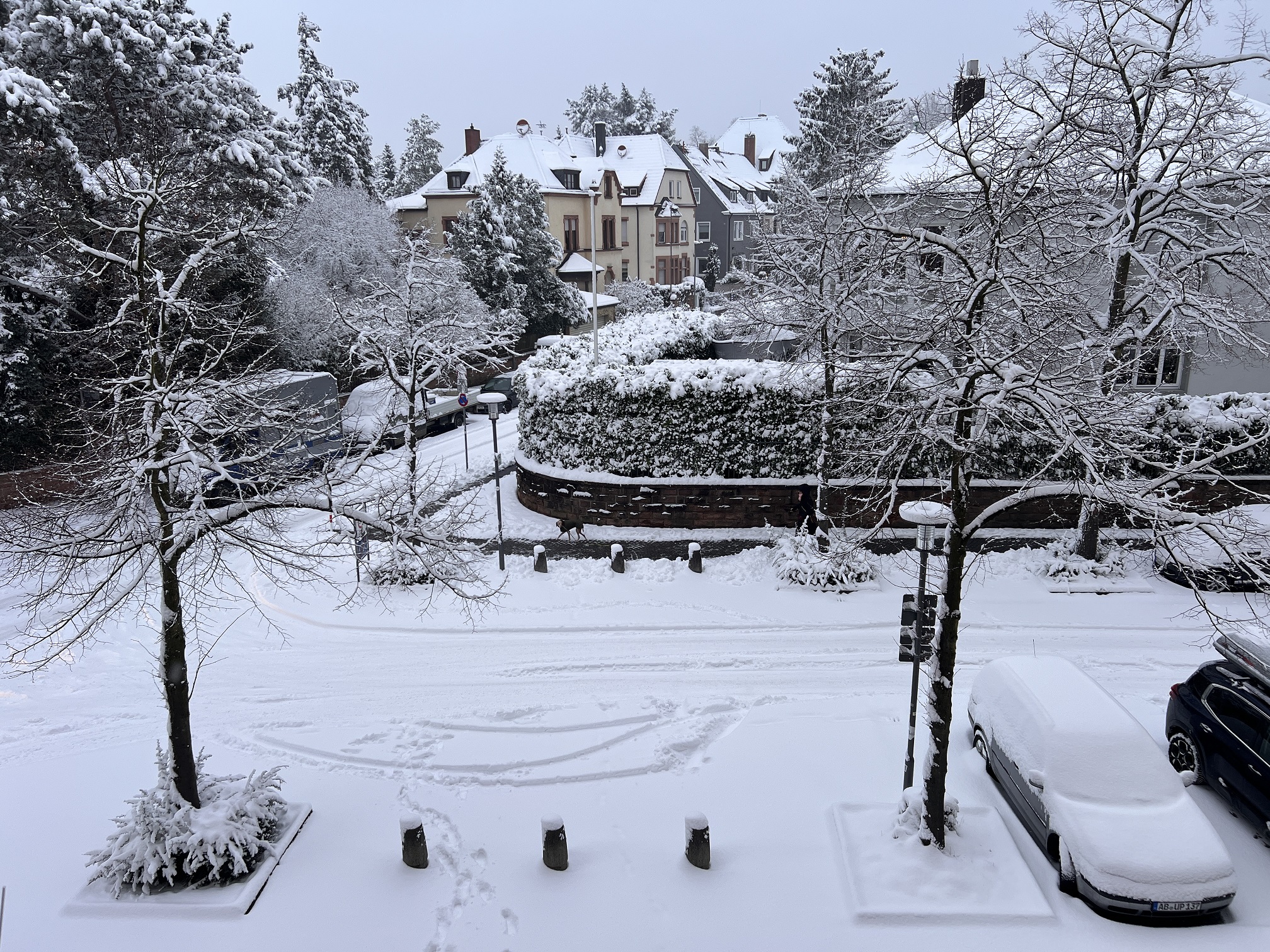 2026 01 26 Schnee 04