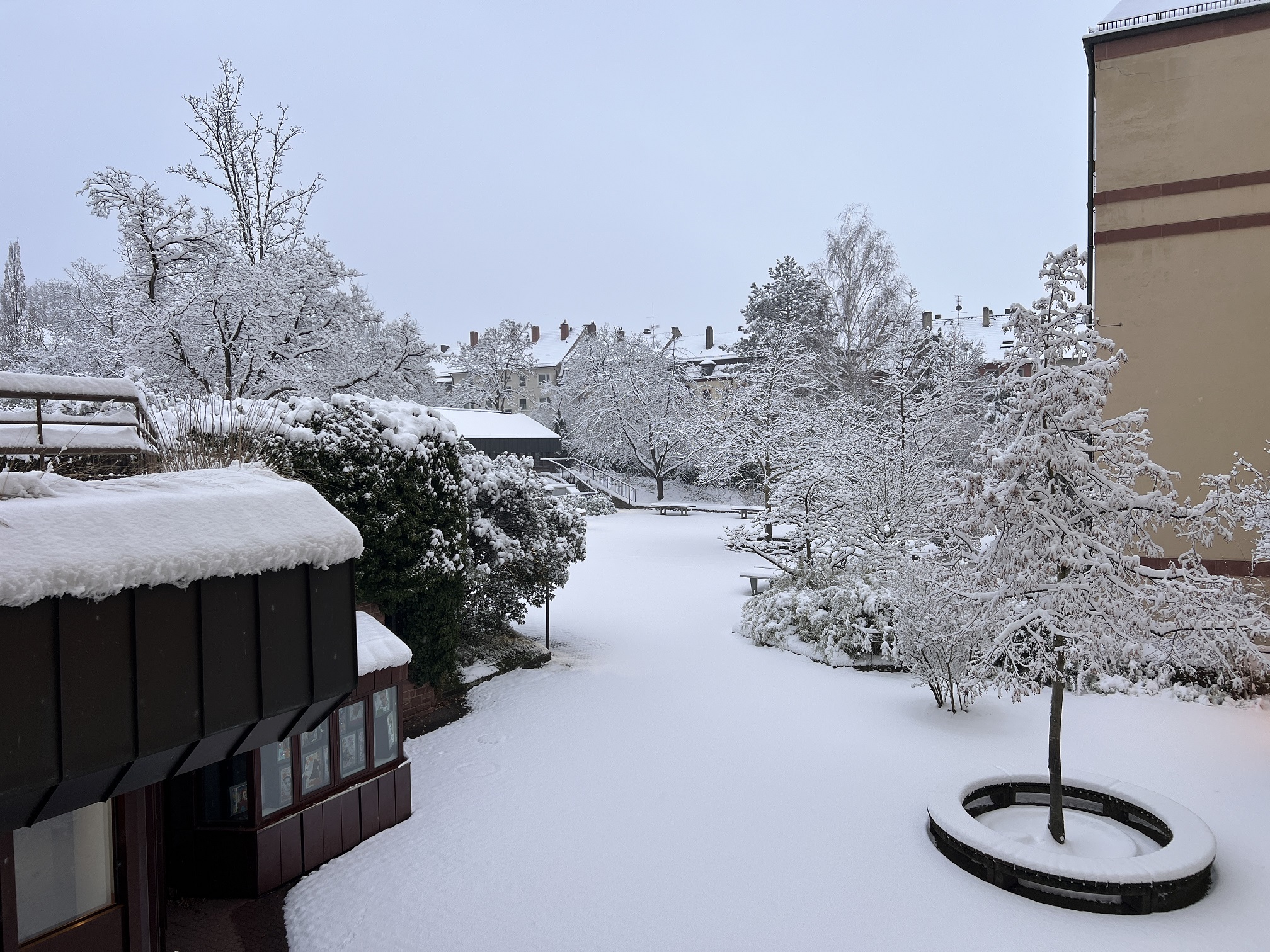 2026 01 26 Schnee 05