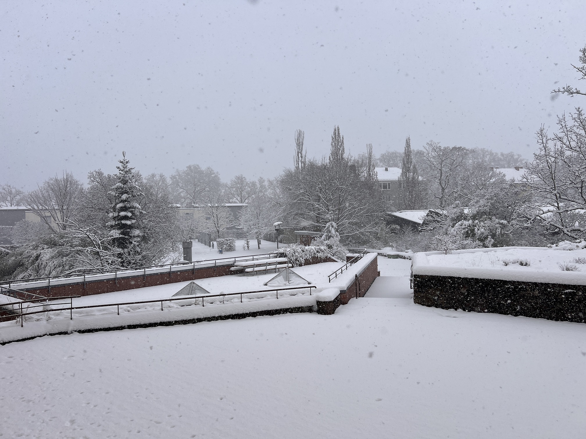 2026 01 26 Schnee 10