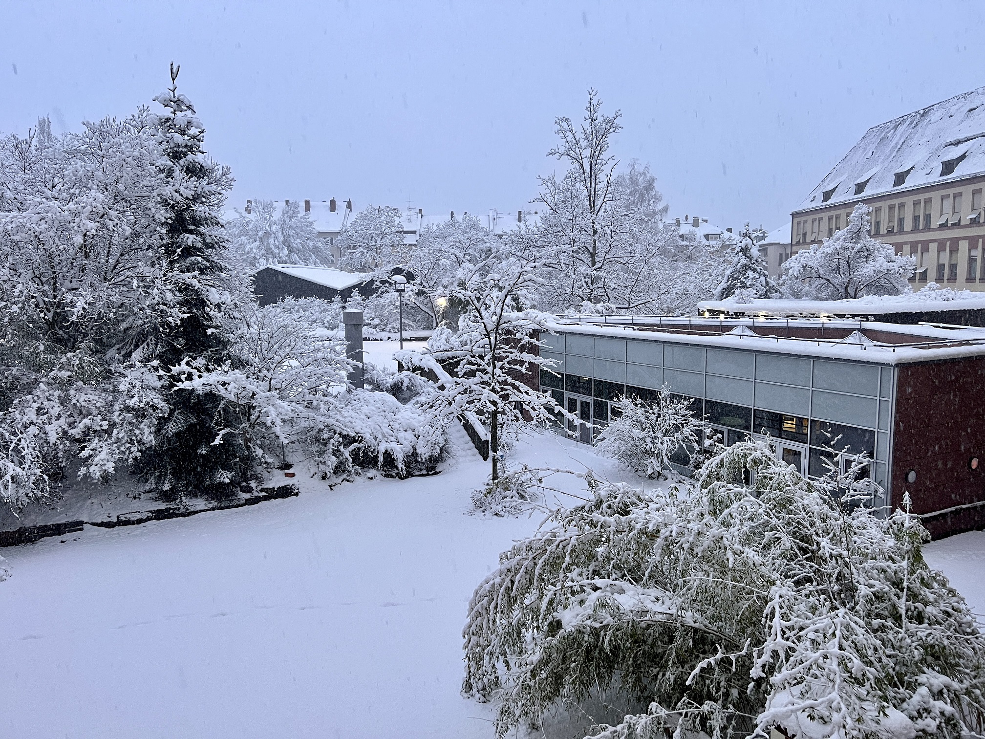 2026 01 26 Schnee 12