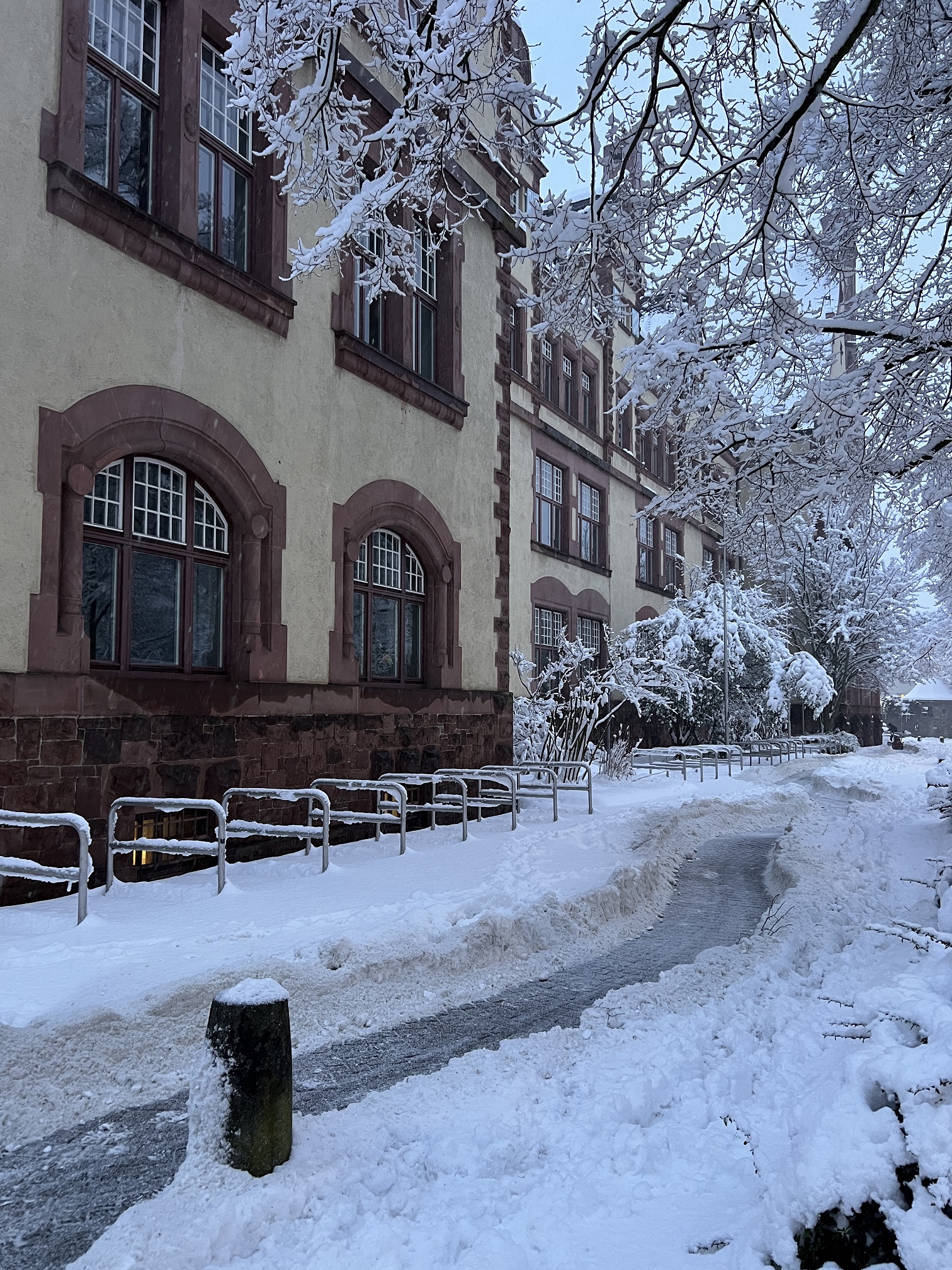 2026 01 26 Schnee 14