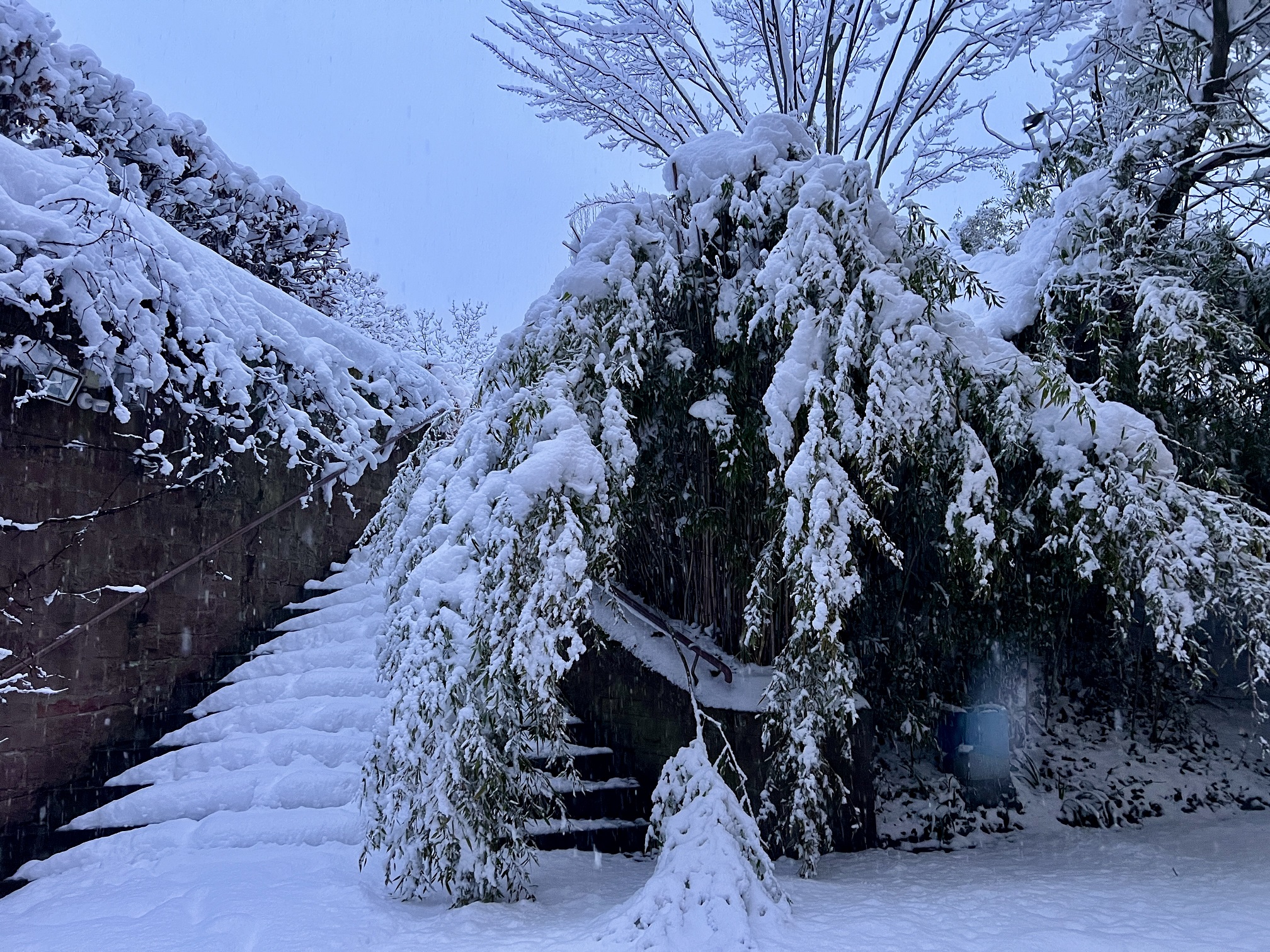 2026 01 26 Schnee 15