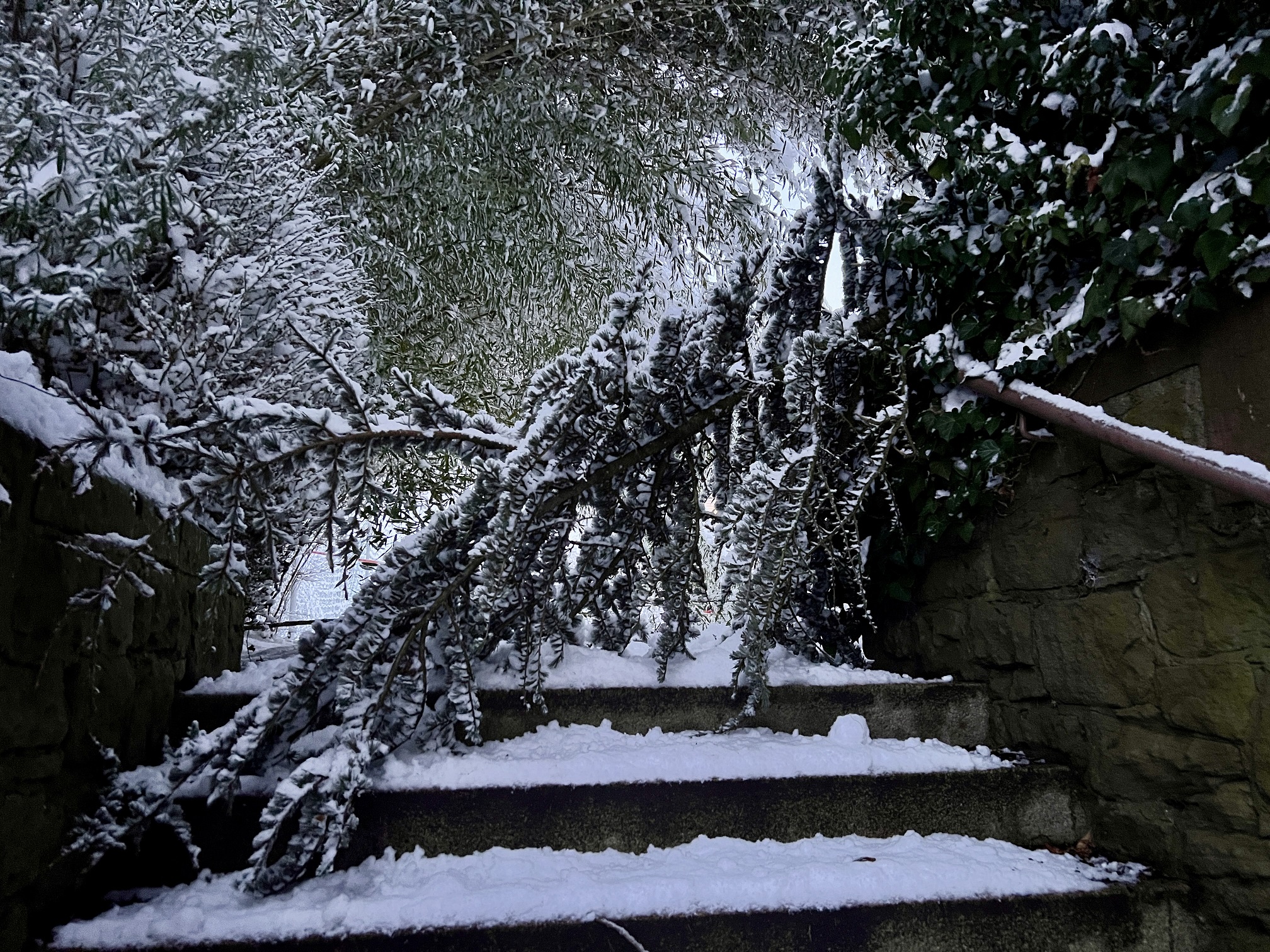 2026 01 26 Schnee 17