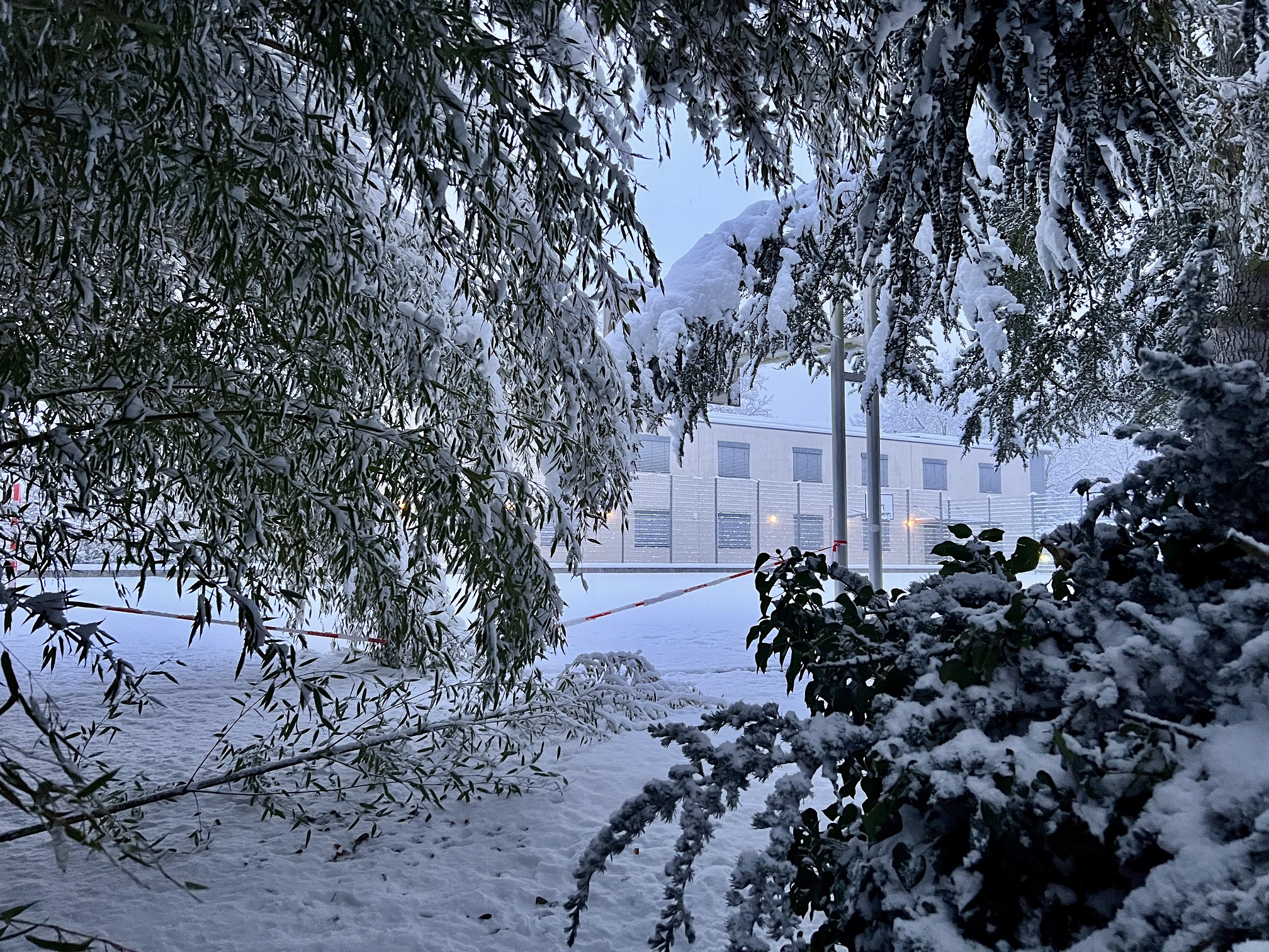 2026 01 26 Schnee 18