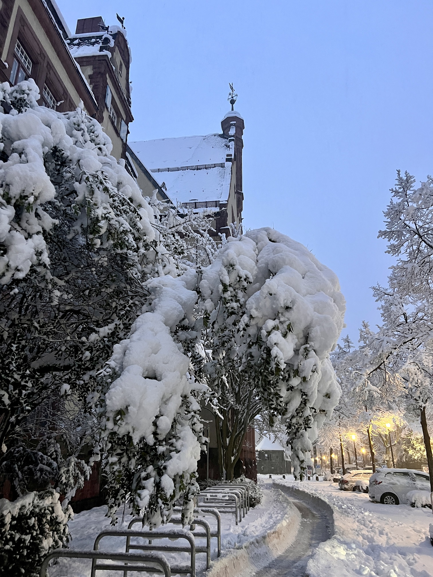 2026 01 26 Schnee 21